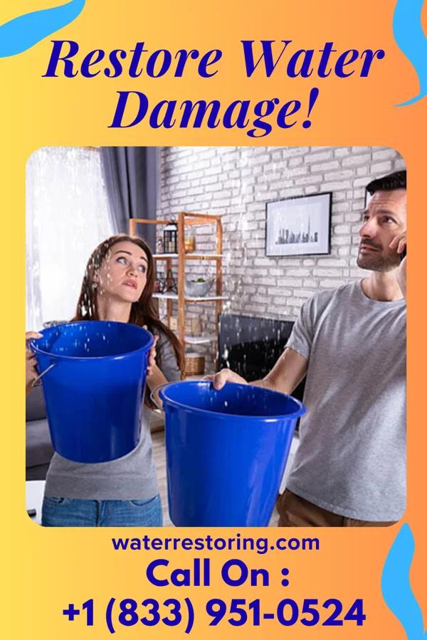 water restoration Capital Mitigation Force Trumansburg