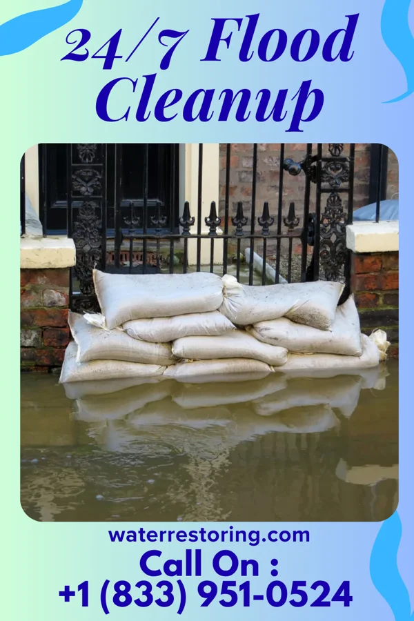 24/7 Flood Cleanup in Trumansburg, NY