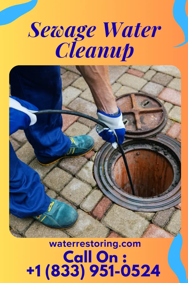 Sewage Water Cleanup in Trumansburg, NY