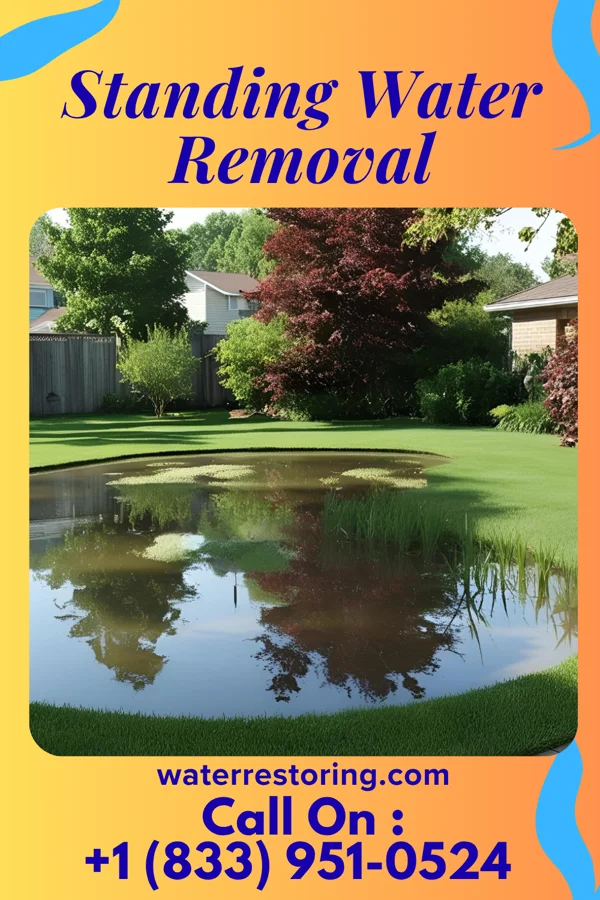 Standing Water Removal in Trumansburg, NY